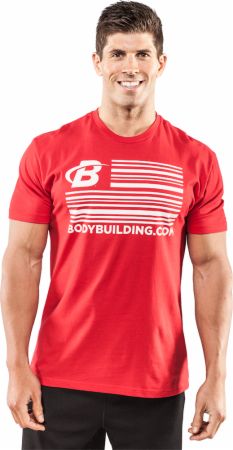 Flag Tee