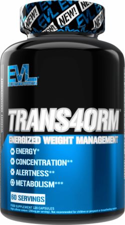 TRANS4ORM