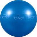 Pro Stability Ball