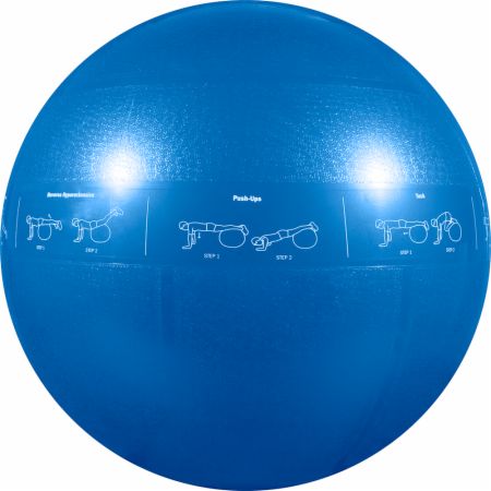 Pro Stability Ball