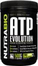 ATP Evolution