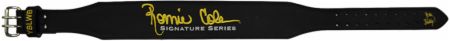 RCSS Weight Lifting Belt