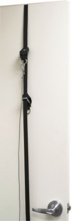 Adjustable Webbing Door Mount Strap