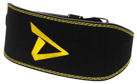 Lifting Belt