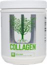 Collagen Image