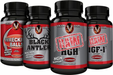 muscle building supplement stacks